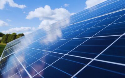 Fotowoltaika dla firm – jak obniżyć koszty energii w przedsiębiorstwie?