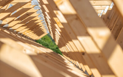 Ekologiczne i trwałe budownictwo — rola drewna konstrukcyjnego w nowych inwestycjach