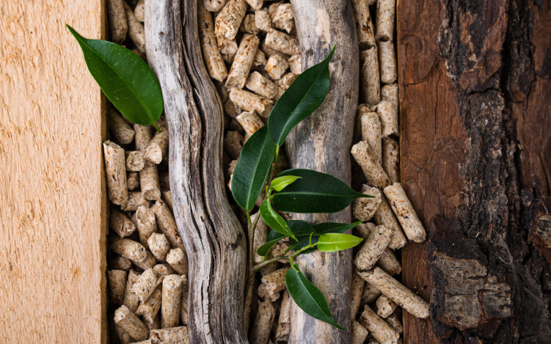 Lokalny producent pelletu czy duży dystrybutor – co wybrać?