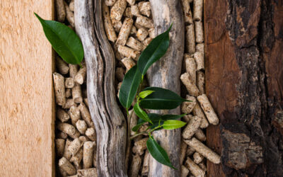 Lokalny producent pelletu czy duży dystrybutor – co wybrać?