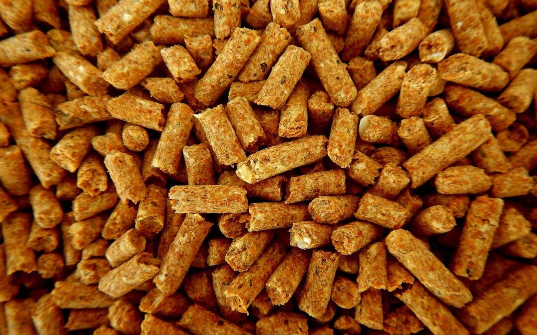 Od pelletu do energii – jak działa ekologiczny łańcuch grzewczy?